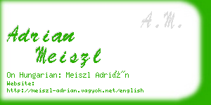 adrian meiszl business card